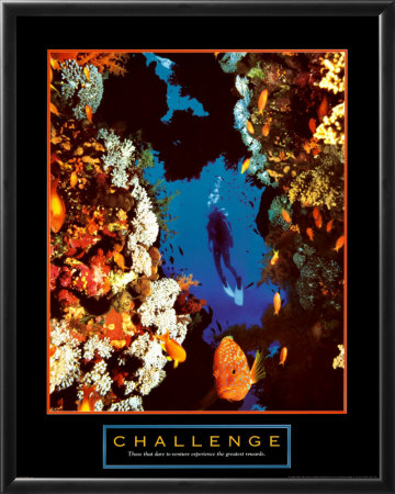 Challenge - Diver Framed Print Challenge - Diver Framed Print