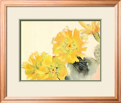 Yellow Cactus Framed Print Yellow Cactus Framed Print