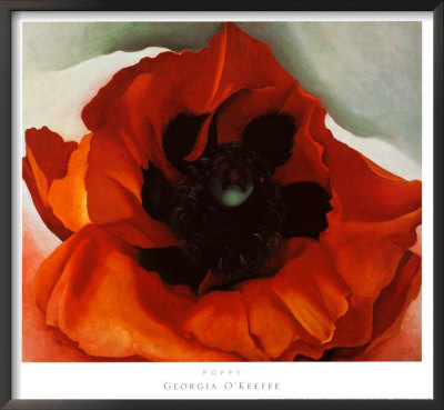 Poppy Framed Print Poppy Framed Print