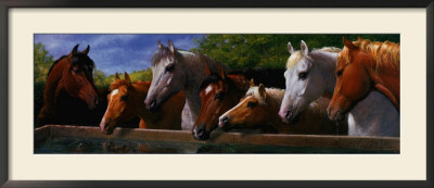 Companions Framed Print Companions Framed Print