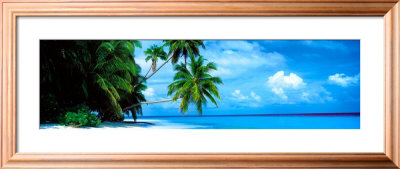 Filhalhohi Island - The Maldives Framed Poster Filhalhohi Island - The Maldives Framed Poster