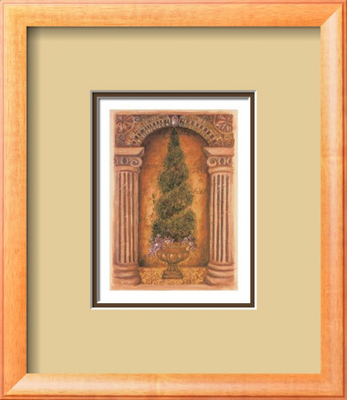 Cypress Niche Framed Print Cypress Niche Framed Print