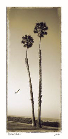 Palmae Palm I Print Palmae Palm I Print