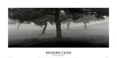Trees in the Fog Print Trees in the Fog Print