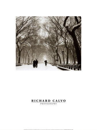 Central Park Print Central Park Print