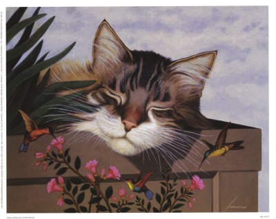 Rocky Selland Print Rocky Selland Print