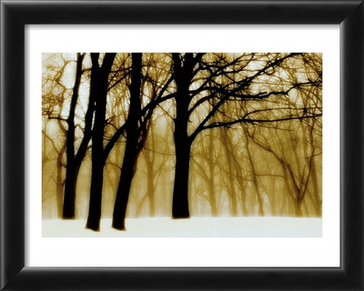 Past Dreams Framed Print Past Dreams Framed Print
