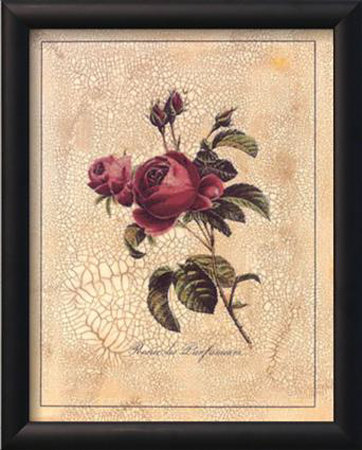 Rose Perfume Framed Print Rose Perfume Framed Print