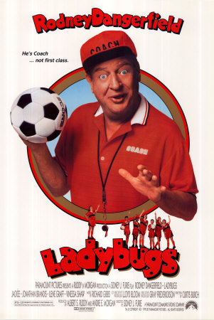 Ladybugs Poster Ladybugs Poster