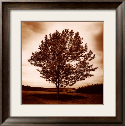 Meadow Land II Framed Print Meadow Land II Framed Print