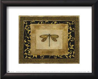 Dragon Fly I Framed Print Dragon Fly I Framed Print