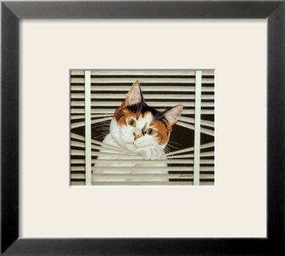 Sassy Lara Framed Print Sassy Lara Framed Print