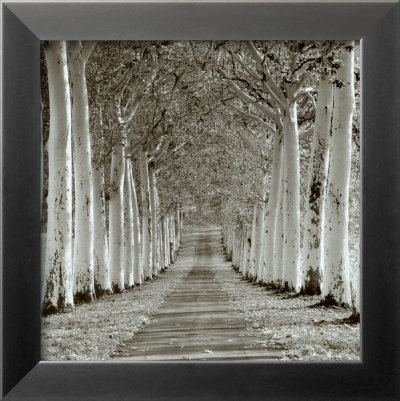 Epernay, France Framed Print Epernay, France Framed Print