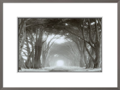 Into The Light Framed Print Into The Light Framed Print