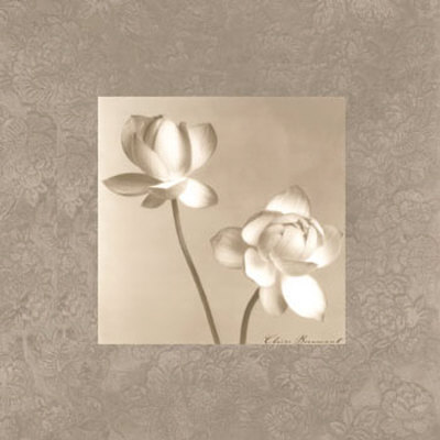 Lotus Duo Print Lotus Duo Print