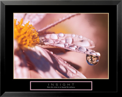 Insight-Dew Drop Framed Print Insight-Dew Drop Framed Print