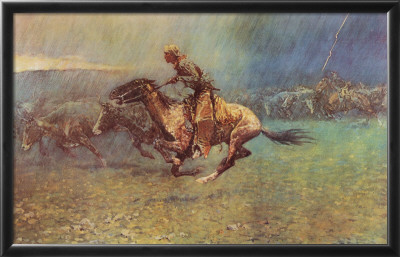 Stampede Framed Print Stampede Framed Print