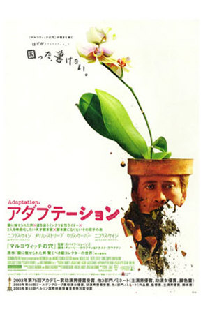 Adaptation Masterprint Adaptation Masterprint