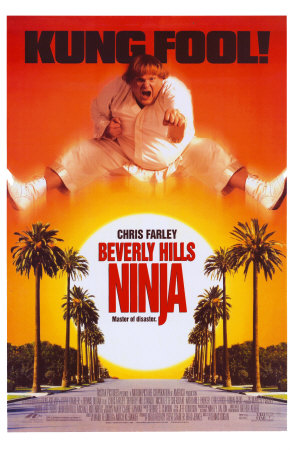 Beverly Hills Ninja Masterprint Beverly Hills Ninja Masterprint