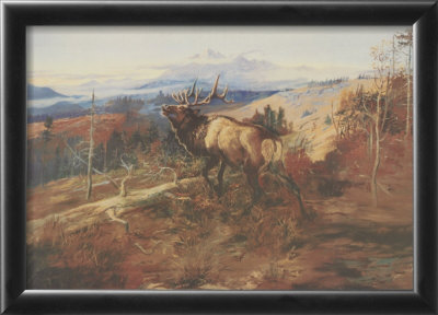 The Elk Framed Print The Elk Framed Print