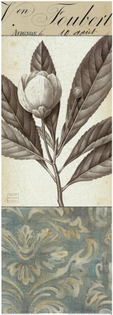 Botanical Bay Laurel Print Botanical Bay Laurel Print