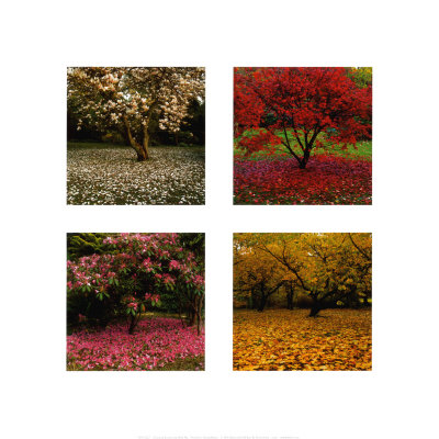 Changing Seasons Print Changing Seasons Print