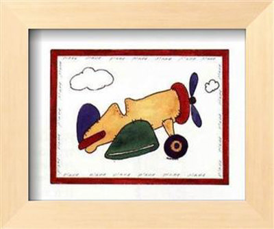 America Airplane Framed Print America Airplane Framed Print