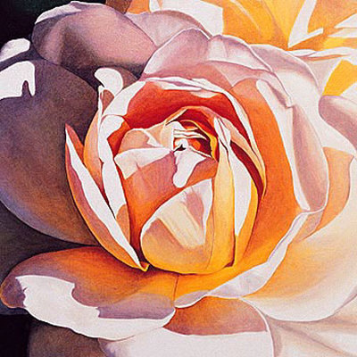 White Rose Print White Rose Print