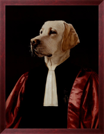 Advocate (1994) Framed Print Advocate (1994) Framed Print