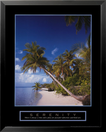Serenity - Palm Trees Framed Print Serenity - Palm Trees Framed Print