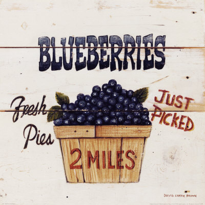 Blueberries Just Picked Print Blueberries Just Picked Print