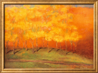 Maple Road Framed Print Maple Road Framed Print
