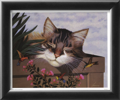 Rocky Selland Framed Print Rocky Selland Framed Print