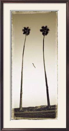 Palmae Palm II Framed Print Palmae Palm II Framed Print
