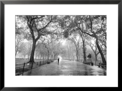Poet's Walk Framed Print Poet's Walk Framed Print