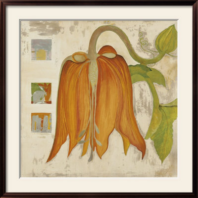 California Flower Framed Print California Flower Framed Print