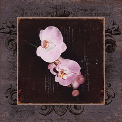 Framed Orchids I Print Framed Orchids I Print