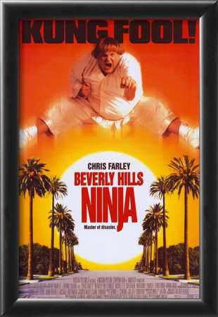 Beverly Hills Ninja Framed Print Beverly Hills Ninja Framed Print