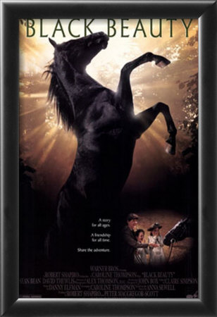 Black Beauty Framed Print Black Beauty Framed Print