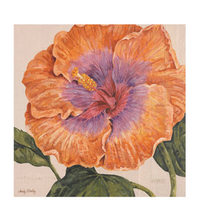Island Hibiscus II Print Island Hibiscus II Print