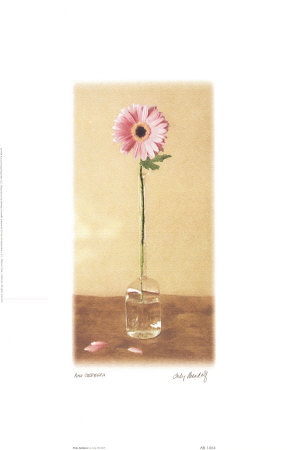 Pink Gerbera Print Pink Gerbera Print