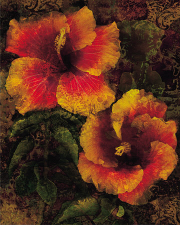 Hibiscus I Print Hibiscus I Print