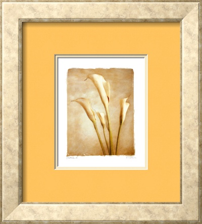Poetica II Framed Print Poetica II Framed Print
