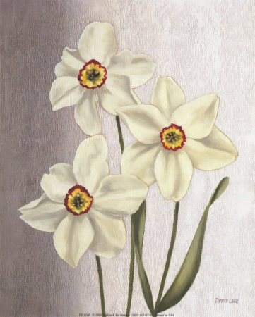Spring Narcissus Print Spring Narcissus Print