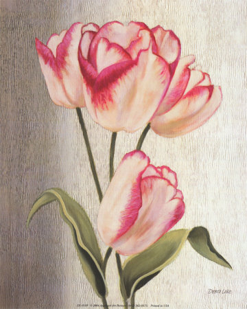 Parrot Tulips Print Parrot Tulips Print