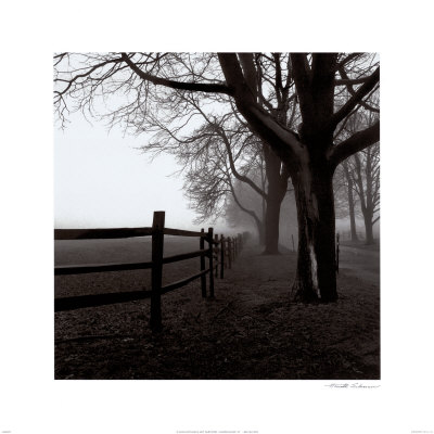 Corner Fence Print Corner Fence Print
