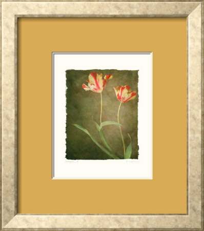 Allegria III Framed Print Allegria III Framed Print