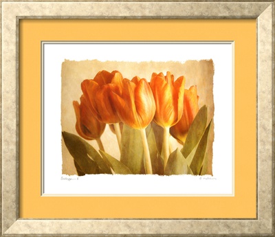 Bellezza II Framed Print Bellezza II Framed Print