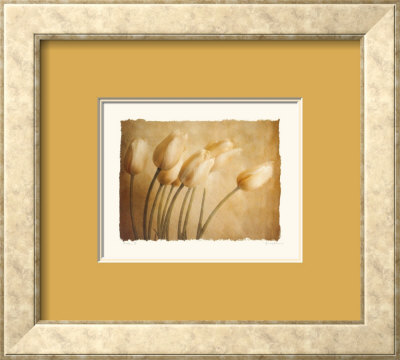 Aria II Framed Print Aria II Framed Print