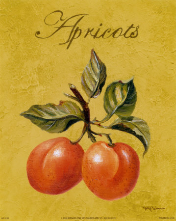 Apricots Print Apricots Print